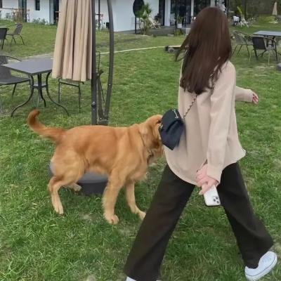 摇滚骗